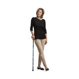 Switch Sticks Walking Canes