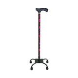 Switch Sticks Walking Canes