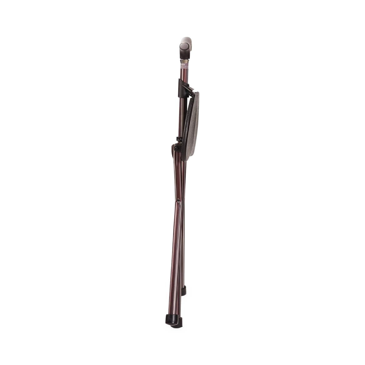 Switch Sticks Walking Canes