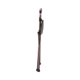 Switch Sticks Walking Canes