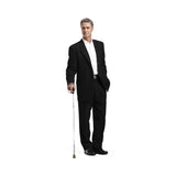 Switch Sticks Walking Canes