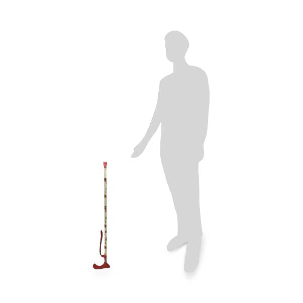 Switch Sticks Walking Canes