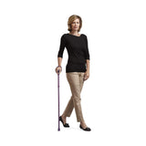 Switch Sticks Walking Canes