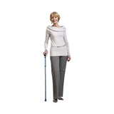 Switch Sticks Walking Canes