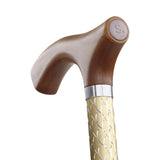 Switch Sticks Walking Canes