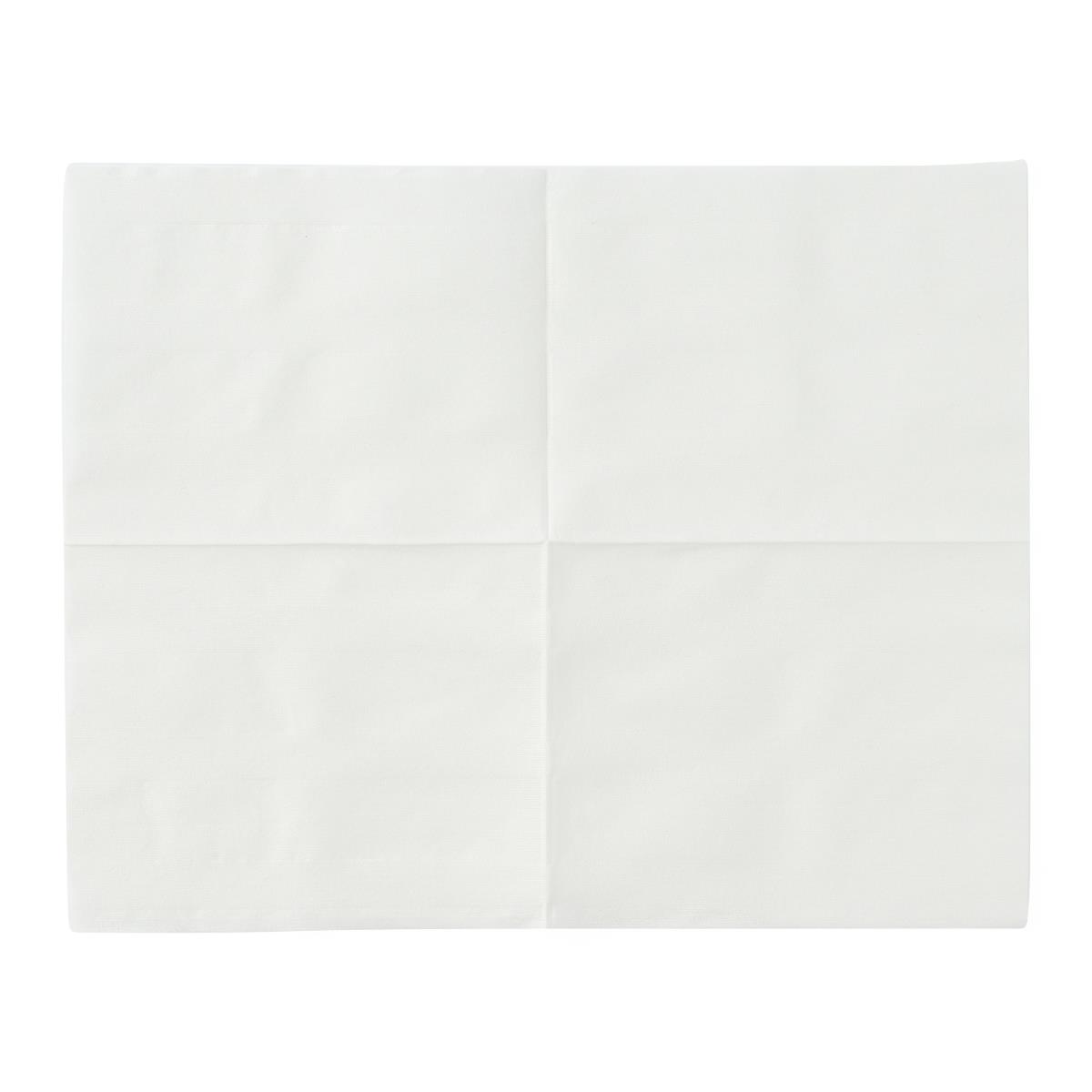 NatureSoft Dry Disposable Cleansing WipeS