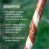 Brazos Walking Canes - BeHope