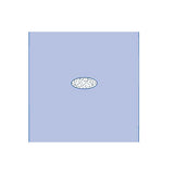 Adherent Window Drape - BeHope