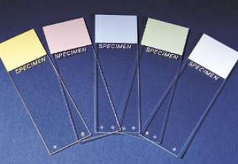 Superfrost Plus Charged Microscope Slides for Tissue Sections - BeHope