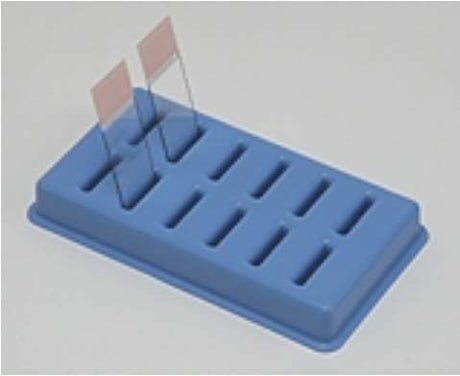 Slide Holder for Drying Draining and Protecting Microscope Slides - BeHope