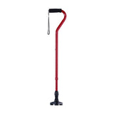 Hurryflex® Accessory Cane Tip - BeHope