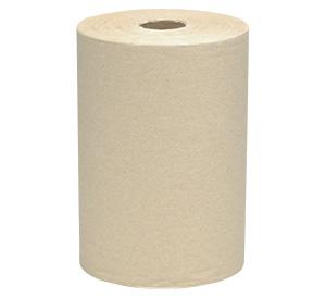 Scott Paper Towels