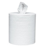 Scott Paper Towels