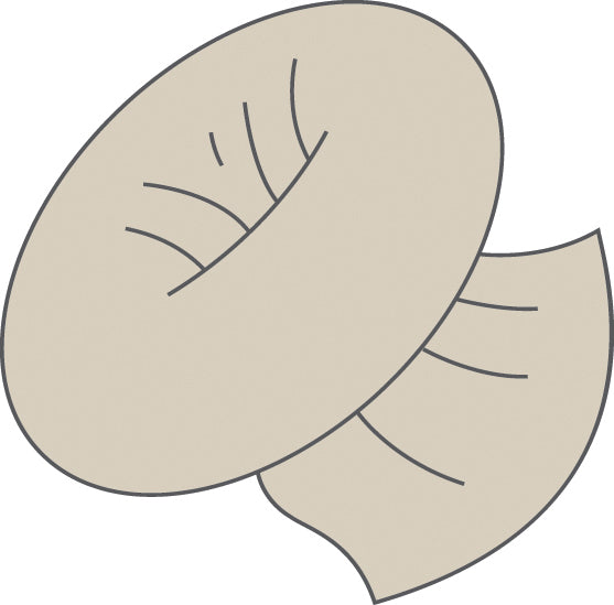 Cotton Double-Ply Stockinettes