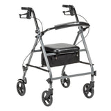 Steel Rollator with 6” Wheels, Knockdown -BeHope