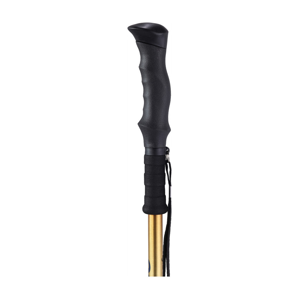 Drive Summit™ Walking Poles - BeHope