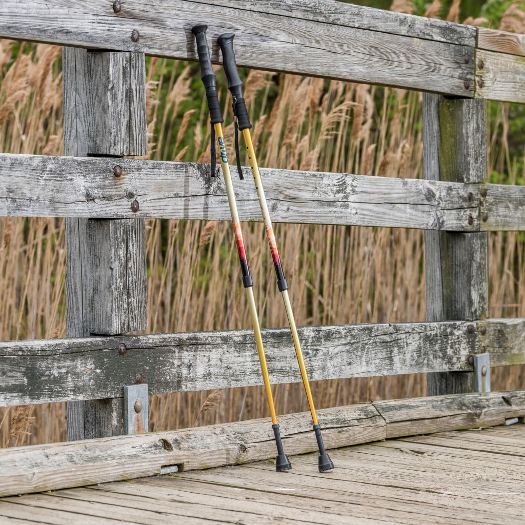 Drive Summit™ Walking Poles - BeHope