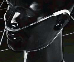 Nasal Cannula with Ear Cushion Salter-Style® TLCannula™ Adult Curved Prongs - BeHope