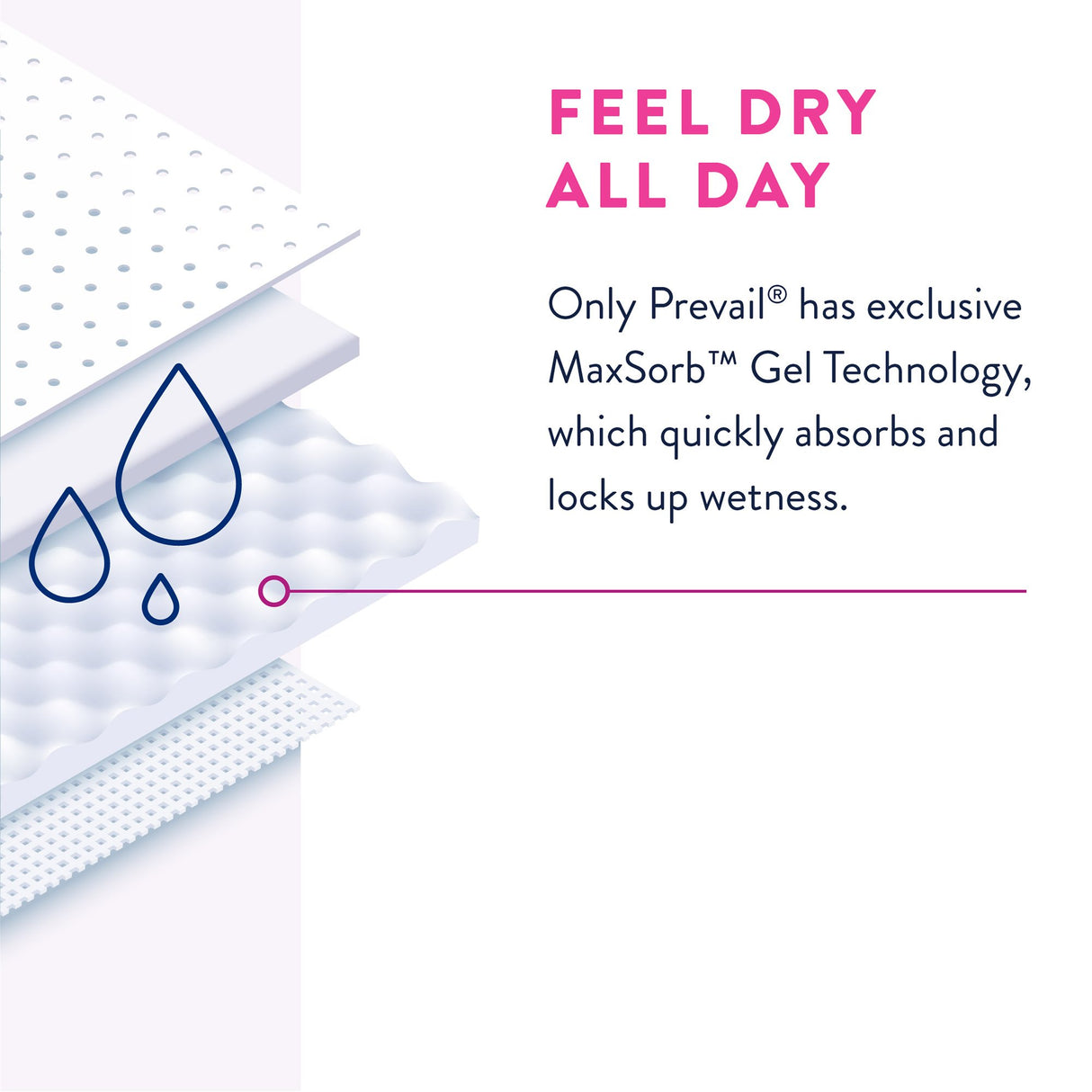 Female Adult Absorbent Underwear Prevail® Daily Underwear Pull On with Tear Away Seams Large Disposable Heavy Absorbency - BeHope