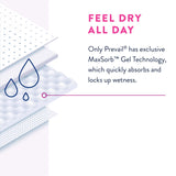 Female Adult Absorbent Underwear Prevail® Daily Underwear Pull On with Tear Away Seams Large Disposable Heavy Absorbency - BeHope