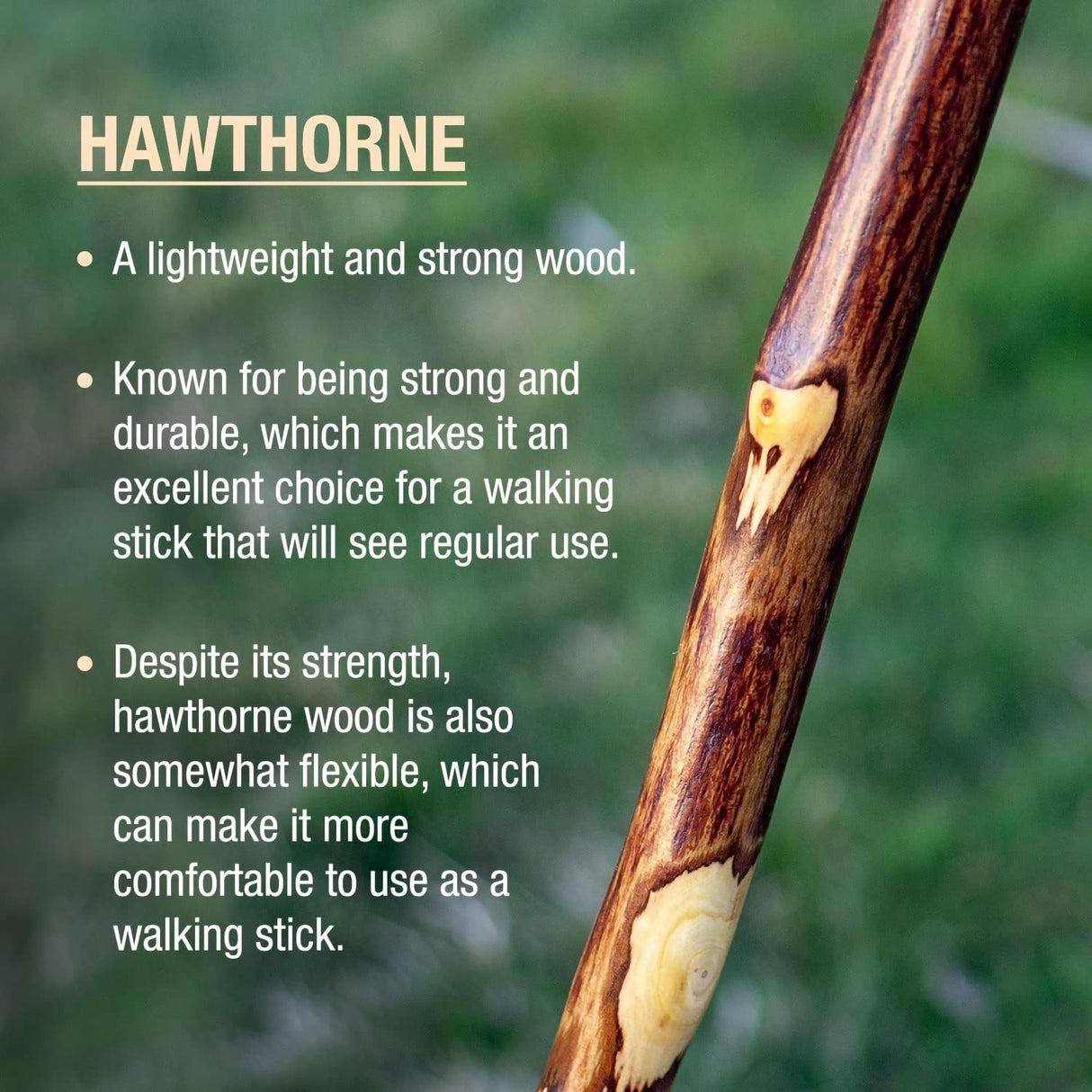 Walking Stick Brazos™ Free Form Wood 48 Inch Height Hawthorn - BeHope