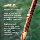 Walking Stick Brazos™ Free Form Wood 48 Inch Height Hawthorn - BeHope