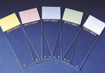 Charged Microscope Slide Superfrost® Plus 25 X 75 mm Frosted End - BeHope