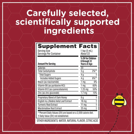 Children's Cold and Cough Relief Zarbee's® All-in-One Daytime Cough Syrup+ Mucus, Throat & Nasal 6 g Strength Syrup 4 oz. - BeHope