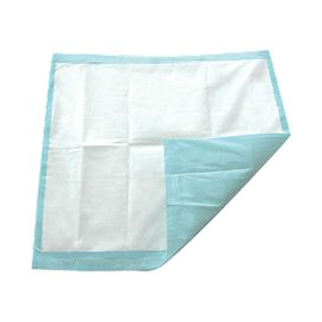 Disposable Underpad TotalDry™ 30 X 30 Inch SecureLoc Light Absorbency - BeHope
