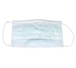 Procedure Mask Precept® Not Rated Earloops One Size Fits Most - BeHope