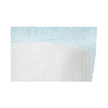 Bladder Control Pad TotalDry™ 4 X 13 Inch Moderate Absorbency Polymer Core Medium - BeHope