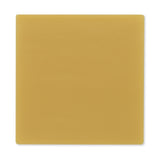 Skin Barrier Wafer Hollihesive™ - BeHope