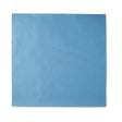 McKesson Sterilization Wrap Blue 20 X 20 Inch Single Layer Cellulose Steam / EO Gas - BeHope