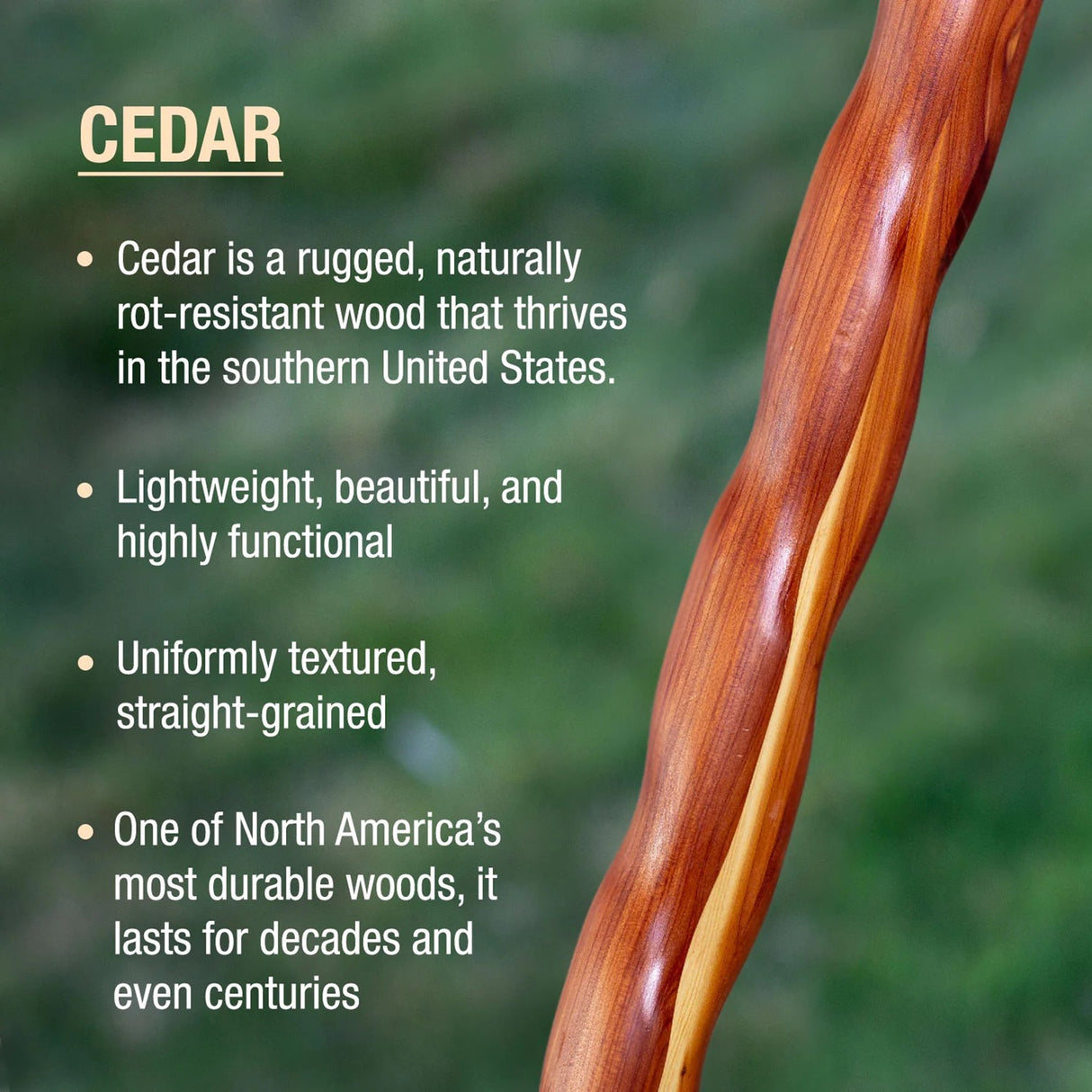 Walking Stick Brazos™ Twisted Wood 58 Inch Height Aromatic Cedar - BeHope