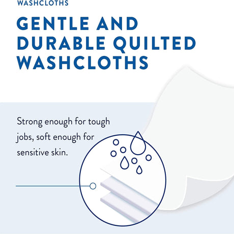 Personal Cleansing Wipe Prevail® Soft Pack Scented 48 Count - BeHope