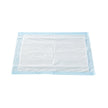 Disposable Underpad McKesson Classic 17 X 24 Inch Fluff / Polymer Light Absorbency - BeHope