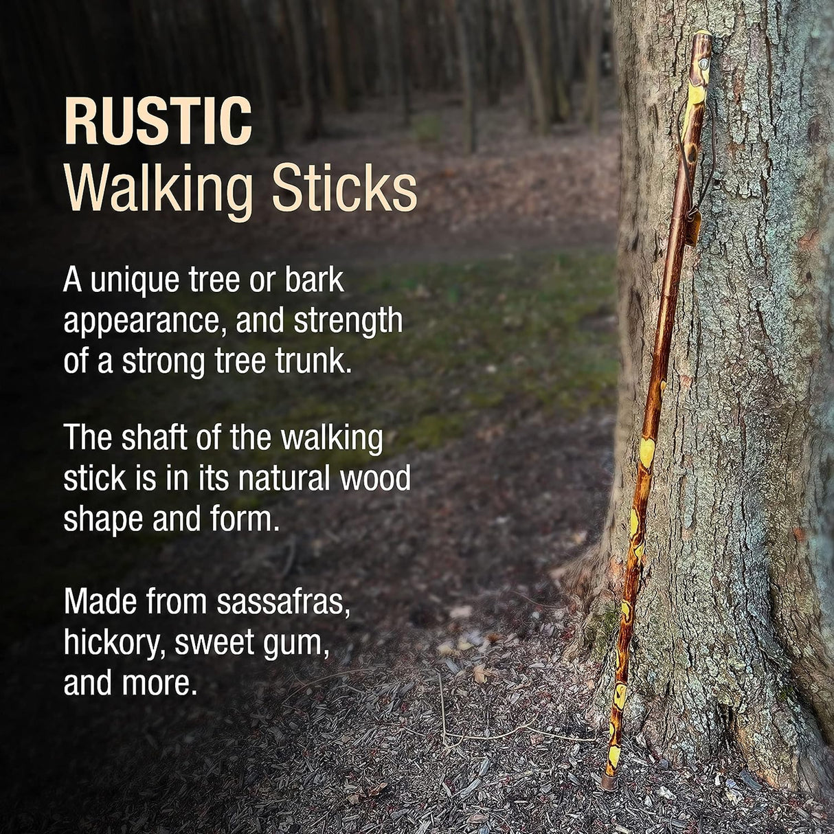 Walking Stick Brazos™ Free Form Wood 48 Inch Height Hawthorn - BeHope