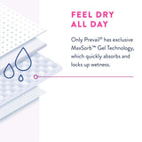 Female Adult Absorbent Underwear Prevail® Daily Underwear Pull On with Tear Away Seams 2X-Large Disposable Heavy Absorbency - BeHope