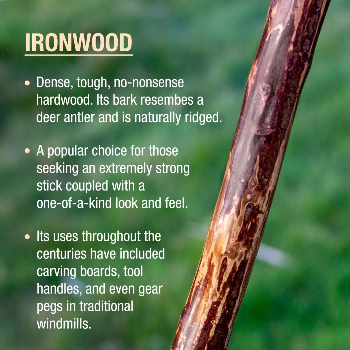 Walking Stick Brazos™ Free Form Wood 48 Inch Height Ironwood - BeHope