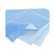 QUICK CHECK* H200 Sterilization Wrap White / Blue 24 X 24 Inch Dual Layer SMS Polypropylene Steam / EO Gas / Hydrogen Peroxide - BeHope