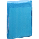 Disposable Underpad Attends® Care Dri-Sorb® 23 X 24 Inch Cellulose / Polymer Heavy Absorbency - BeHope