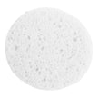 Facial Sponge Prosana 3 X 3/8 Inch - BeHope