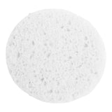 Facial Sponge Prosana 3 X 3/8 Inch - BeHope