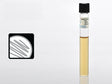 Prepared Media Thioglycollate Medium Beige Tube Format - BeHope