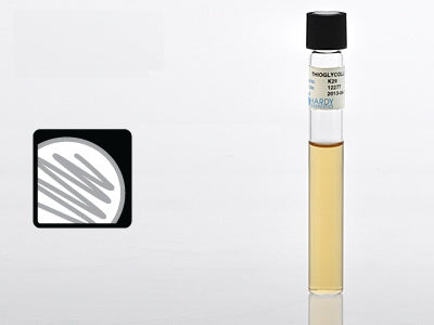 Prepared Media Thioglycollate Medium Beige Tube Format - BeHope