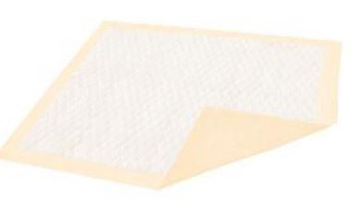 Disposable Underpad Dignity® Plus 30 X 36 Inch Fluff / Polymer Moderate Absorbency - BeHope