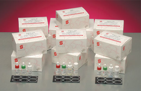 Autoimmune Test Kit RaPET® RF Rheumatoid Factor (RF) 50 Tests CLIA Non-Waived - BeHope