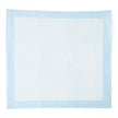 Disposable Underpad Protection Plus® 23 X 24 Inch Fluff Light Absorbency - BeHope